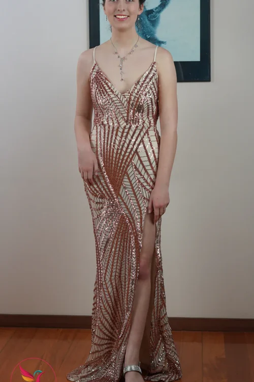 Plunge Neck Sequin Maxi-Dress for Stylish Open Back Women’s Eveningwear.