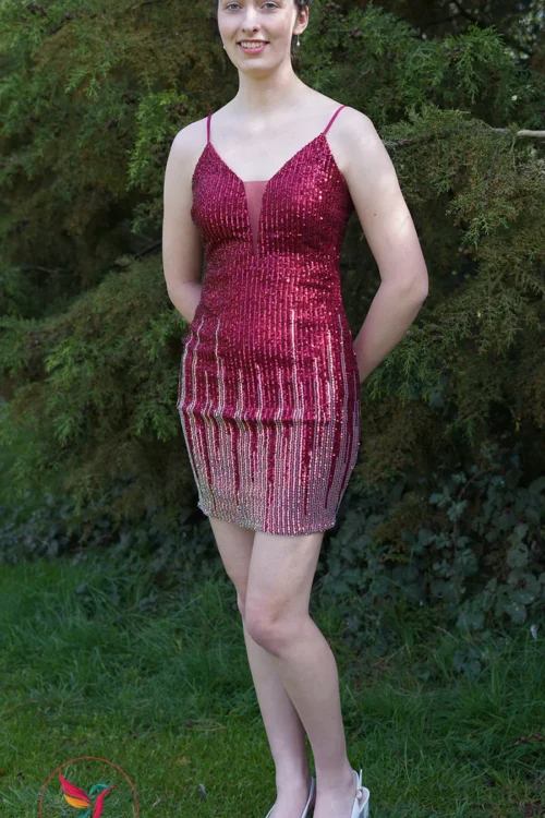 Burgundy Plunging V Neckline Sequin Mini Club Party Women’s Dresses