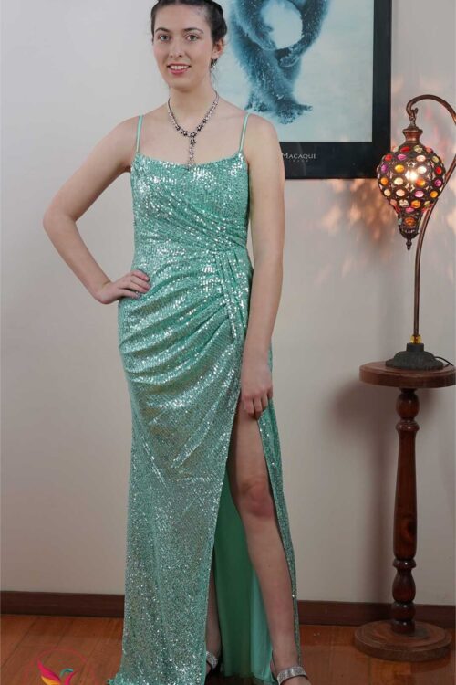 Plunge Neck Open Back Sequin Maxi Length Evening Dresses