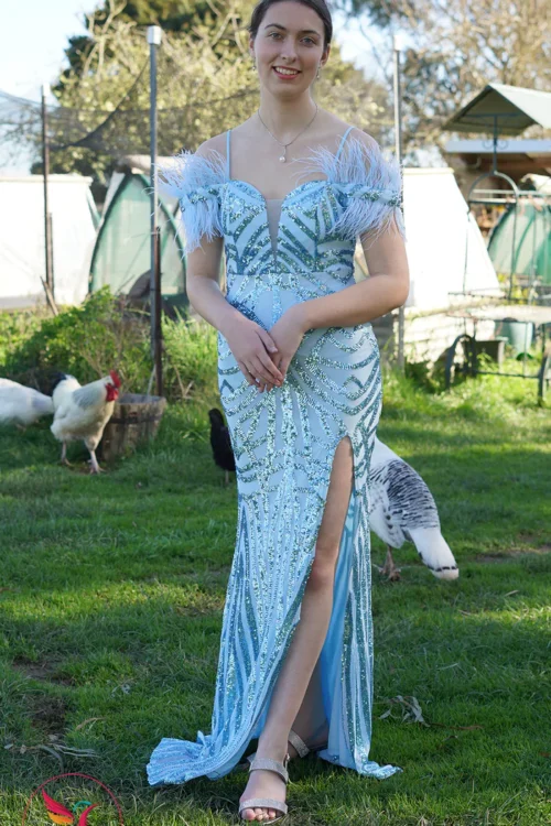 Embellished Feather Evening With Plunge Neck Sequin Maxi Women’s Dresses