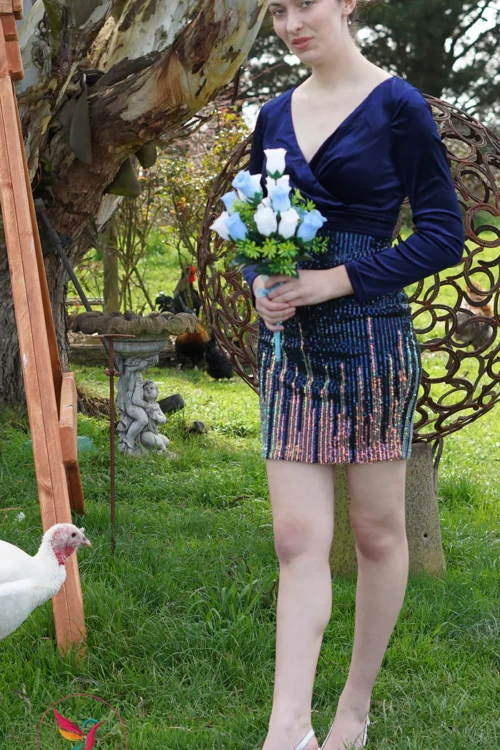 Short Length Velvet Long Sleeve Sequin Women’s Evening Party Dress