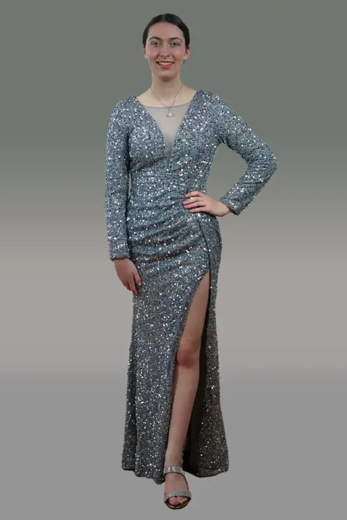 Elegant Sheath Column V-Neck Long Sleeve Sweep Train Velvet Sequins Shimmery Dress